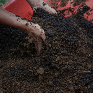garden soil Blog