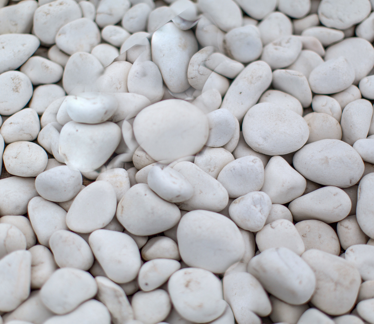 cowra white Decorative Pebbles