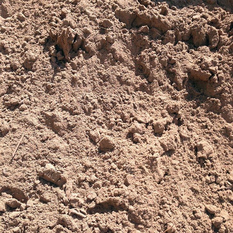 sandyloam Soil